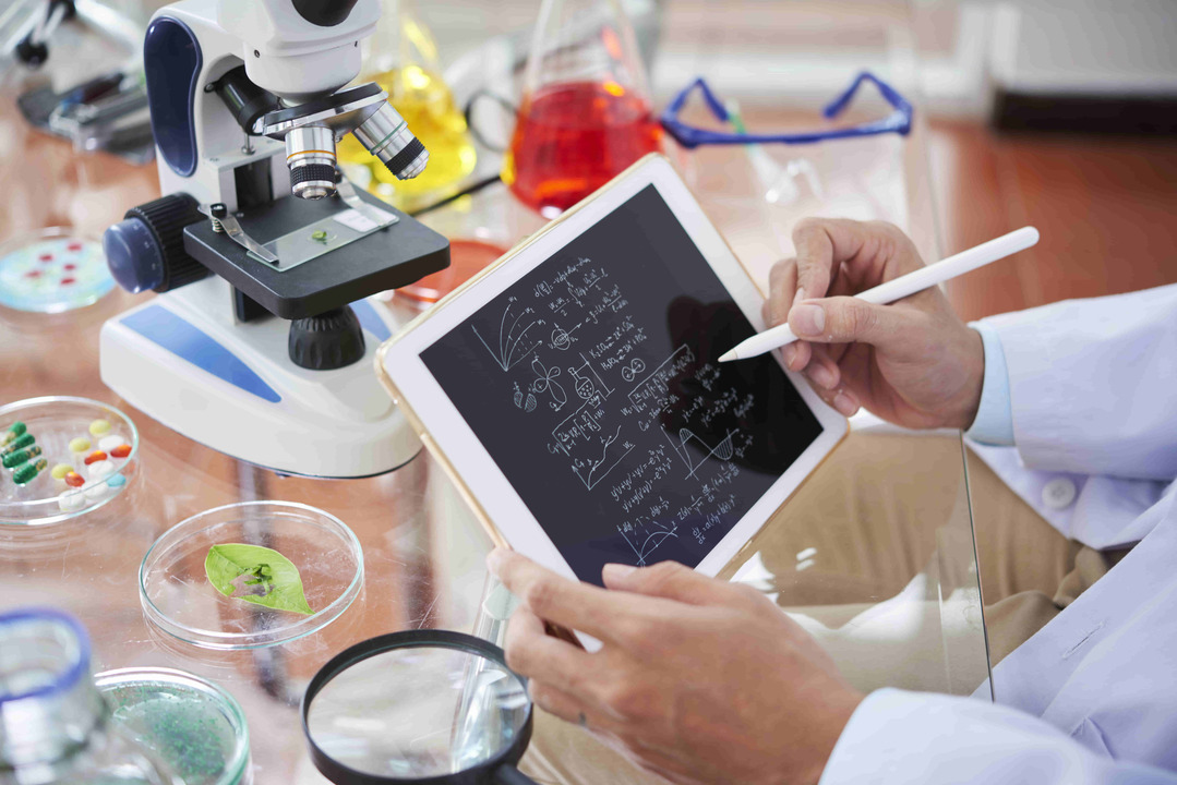 Integrating AI into STEM Education: A Holistic Approach